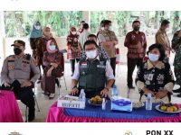 Pj. Bupati Muara Enim Tinjau Langsung Pilkades Serentak 2021