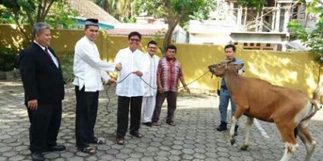 Hotel GZ Muara Enim Potong 1 Ekor Sapi Untuk Warga Sekitar   
