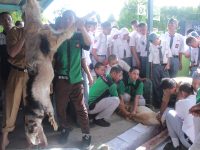 SMKBA Potong 2 Kambing Untuk Melatih Siswa Berkurban   