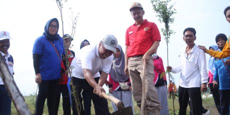 Penghijauan Areal Kuburan Bangko Tanjung Enim