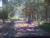 Jalan Rusak, Petani Kesulitan Keluarkan Hasil Bumi