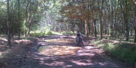 Jalan Rusak, Petani Kesulitan Keluarkan Hasil Bumi