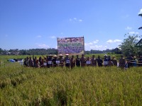 Pemkab Muara Enim Targetkan Produksi Padi 140.985 Ton GKG