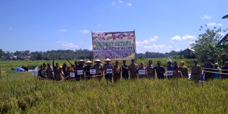Pemkab Muara Enim Targetkan Produksi Padi 140.985 Ton GKG