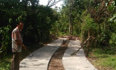 Permudah Akses Menuju Kebun, Pemdes Muara Emil Bangun Jalan Setapak