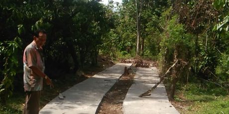 Permudah Akses Menuju Kebun, Pemdes Muara Emil Bangun Jalan Setapak