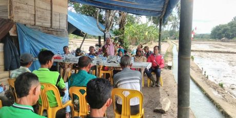 Petani Padi Desa Tanjung Agung Gelar Tanam Padi Perdana