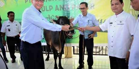 PT TeL PP Salurkan Hewan Kurban Kepada Warga di Tiga Kecamatan