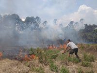 Kebakaran Lahan Nyaris Lalap Pemukiman Warga