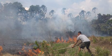 Kebakaran Lahan Nyaris Lalap Pemukiman Warga
