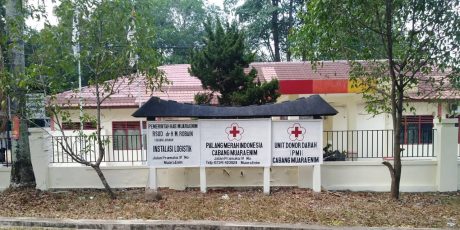 Kebutuhan Tranfusi Darah di Muara Enim Tinggi