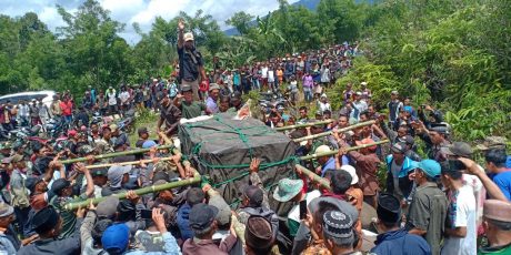 Harimau Pemangsa Manusia Ditangkap di Desa Pelakat Semende