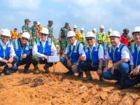 Lestarikan Lingkungan, PTBA Tanam 2020 Bibit Pohon Kayu Putih