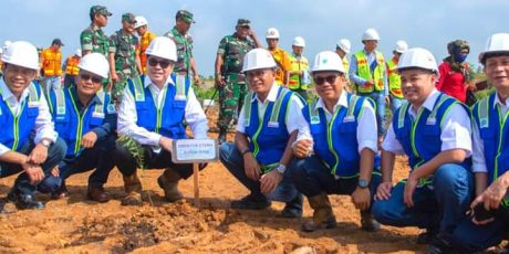 Lestarikan Lingkungan, PTBA Tanam 2020 Bibit Pohon Kayu Putih