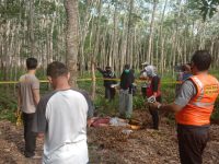 Diduga Sakit Hati, Heru Tewas Ditembak Pakai Senapan Angin