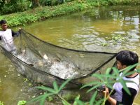 Manfaatkan Lahan Kosong, Putra Zaman Berhasil Budidayakan Ikan Air Tawar