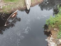 Diduga Tercemar Limbah, Aliran Sungai di Desa Sukamerindu Sungai Rotan Menghitam