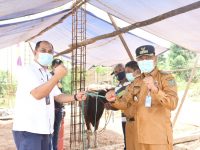 Jelang Idul Adha 1442 H, PTBA Salurkan 95 Ekor Sapi
