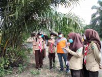 Saka Kalpataru Sumsel Kunjungi Desa Proklim Binaan PTBA