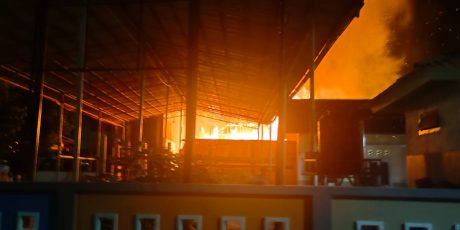 Si Jago Merah Mengamuk di Kemayoran Muara Enim