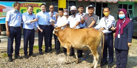 PT TeL Melalui Program CSR Salurkan Hewan Kurban Idul Adha 1443 H
