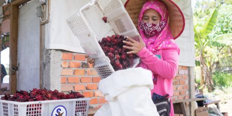 Lewat Usaha Rosella, Perempuan Berdaya Bersama PTBA