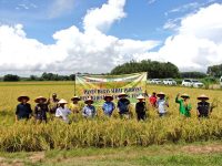 Dukungan Bukit Asam untuk Wujudkan Pertanian Ramah Lingkungan