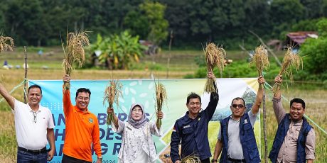 PLTS Irigasi Bukit Asam (PTBA) Dukung Pertanian Berkelanjutan