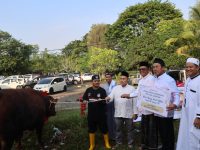 Idul Adha 1445 H, Bukit Asam (PTBA) Salurkan 196 Sapi dan 65 Kambing Kurban