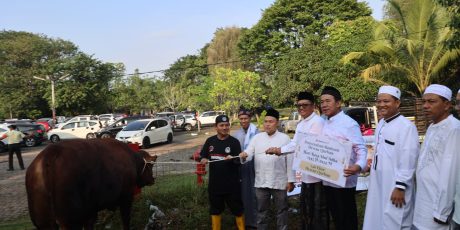 Idul Adha 1445 H, Bukit Asam (PTBA) Salurkan 196 Sapi dan 65 Kambing Kurban