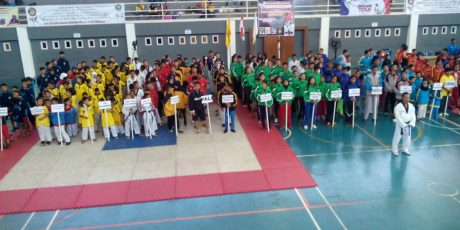 Wabup Muara Enim Buka Kejuaraan Taekwondo Bupati Muara Enim Cup