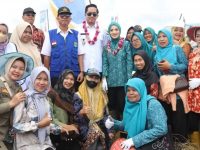 Panen Kentang Industri, Plt Bupati Bangga Potensi Pertanian di Muara Enim