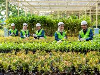 Komitmen Kuat Bukit Asam (PTBA) Turunkan Emisi