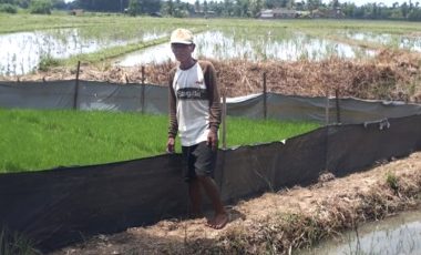 Bantuan dari Bukit Asam (PTBA) Tingkatkan Penghasilan Petani di Lampung