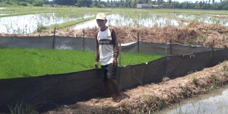 Bantuan dari Bukit Asam (PTBA) Tingkatkan Penghasilan Petani di Lampung
