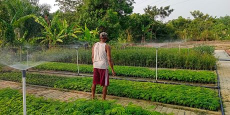 Kisah Sukses Zailani dan Bukit Asam Budidaya Tanaman Berbasis Otomasi