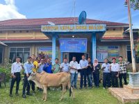 Jelang Idul Adha 1445 H, PT. TeL Salurkan 43 Hewan Qurban