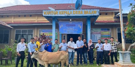 Jelang Idul Adha 1445 H, PT. TeL Salurkan 43 Hewan Qurban