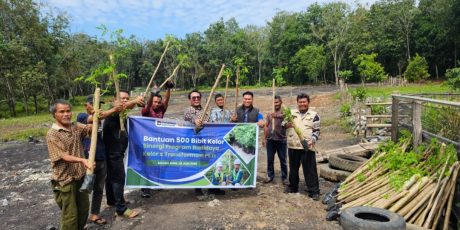 Wujudkan Pertanian Berkelanjutan, Program Transformasi PETI di Desa Darmo Jadi Pionir Ketahanan Pangan