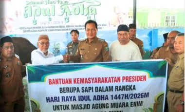 Sapi Limosin Berat 970 Kg Kurban Presiden Prabowo Subianto Tiba di Muara Enim Sapi Limosin Berat 970 Kg Kurban Presiden Prabowo Subianto Tiba di Muara Enim