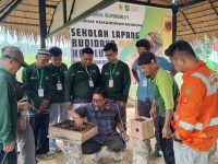 PTBA Dukung Pengembangan UMKM Berbasis Alam melalui Madu Galo-Galo Cupiang