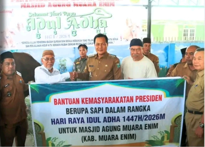 Sapi Limosin Berat 970 Kg Kurban Presiden Prabowo Subianto Tiba di Muara Enim Sapi Limosin Berat 970 Kg Kurban Presiden Prabowo Subianto Tiba di Muara Enim